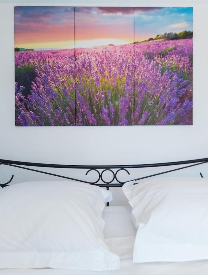 Etoilevacances Chambres D Hotes Campagne En Lavande Saint-Cezaire-sur-Siagne ภายนอก รูปภาพ